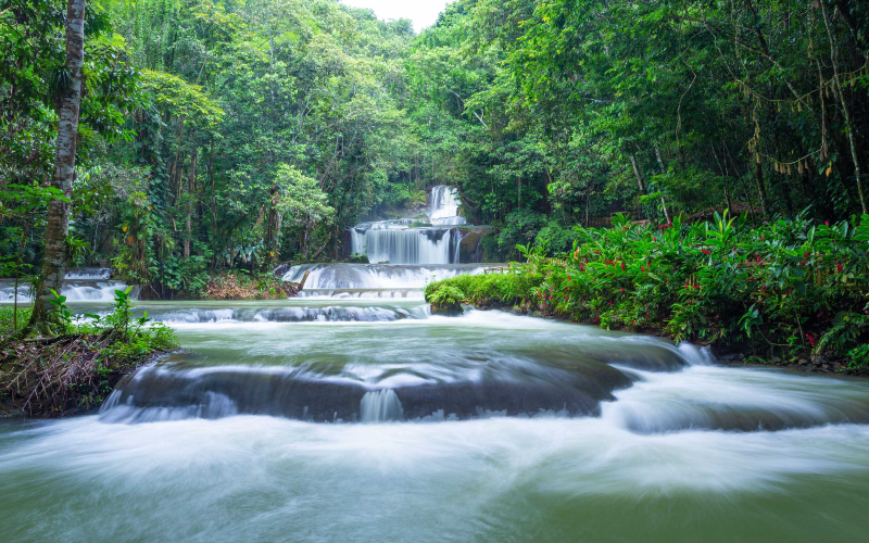 YS-Falls YS Falls Jamaica