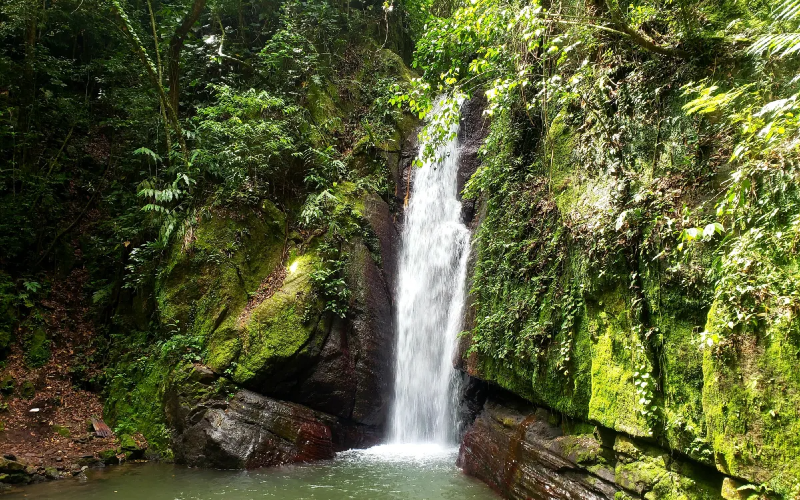 falling-Edge-WaterFalls Falling Edge Water falls Jamaica